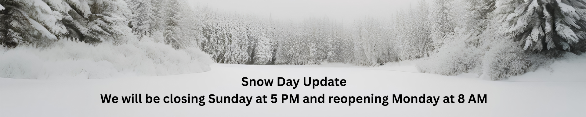 Website Banner (1900 x 800 px) (1920 x 384 px) (3)